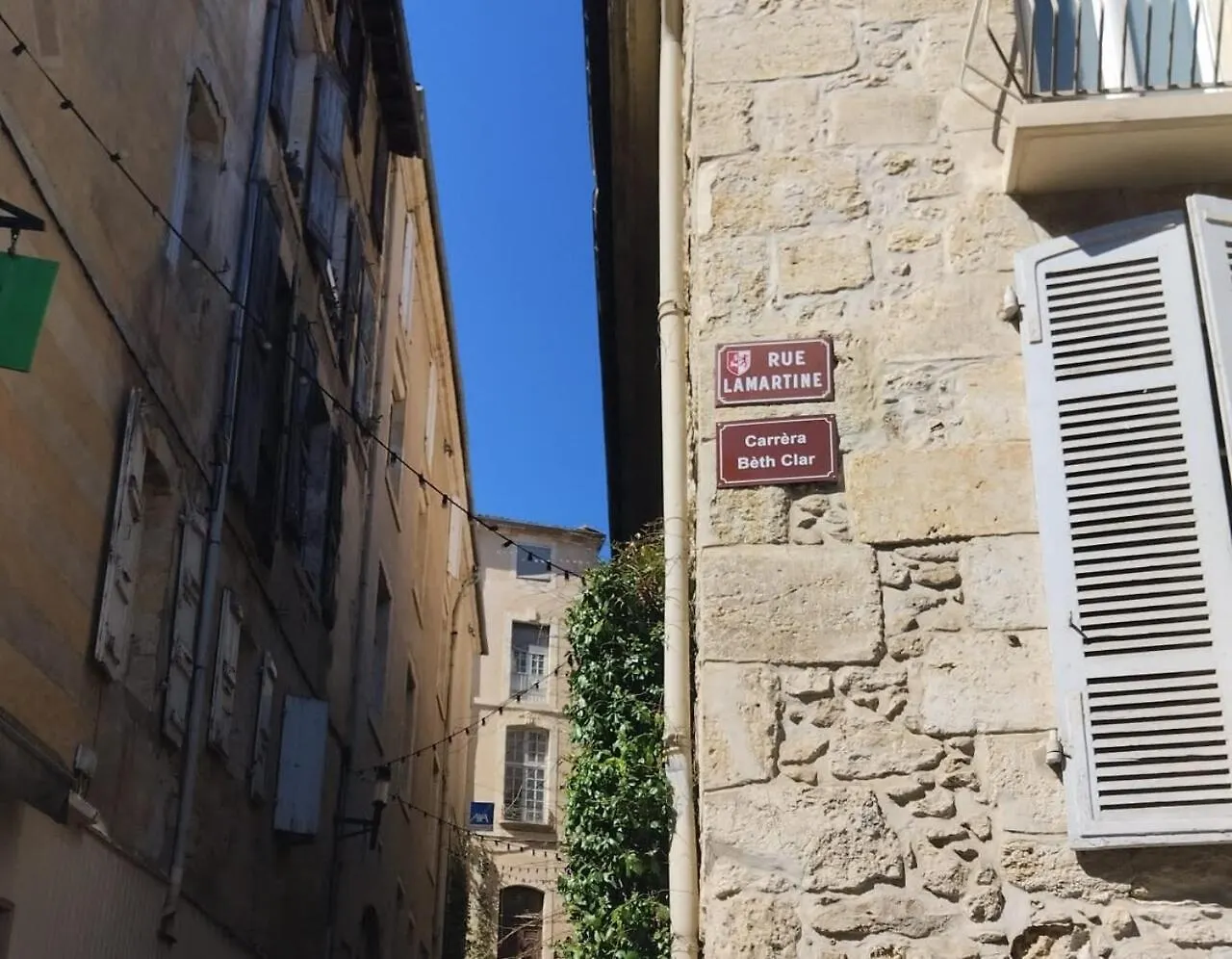 Le Lamartine - Hyper Centre Apartment Auch