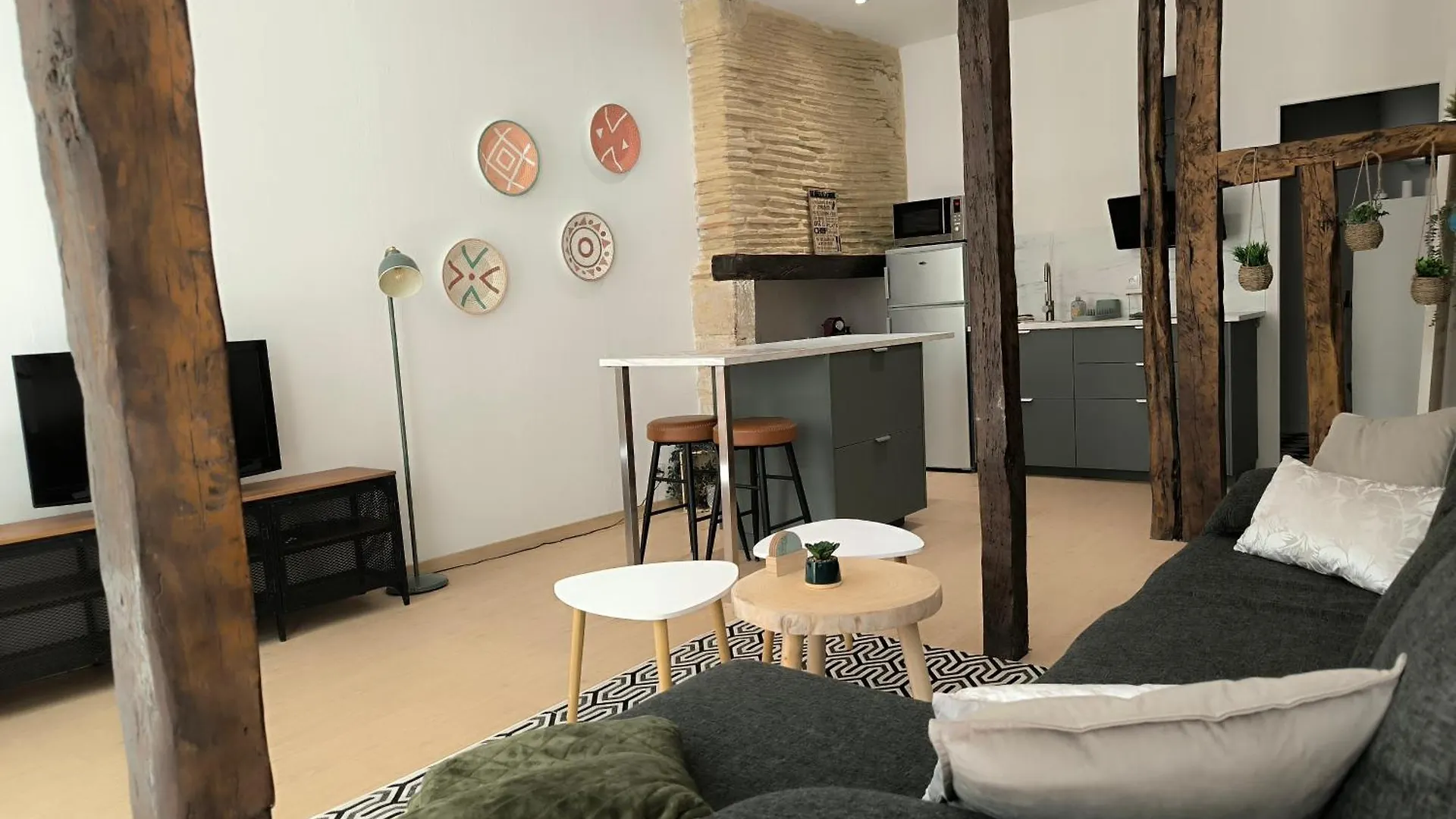 Le Lamartine - Hyper Centre Apartment Auch